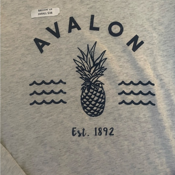 NWT Avalon tee-small - Picture 4 of 4